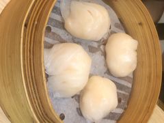 添好运点心专门店(北角店)-添好运点心专门店(北角店)
