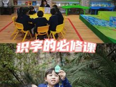 -金豆子幼稚园