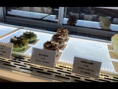 -Ten Olives甜点