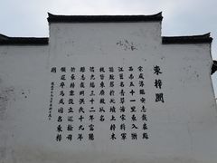 -东梓关景区村庄