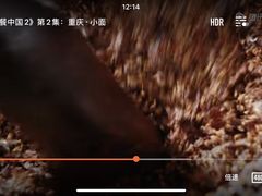 -赵伍面庄(松石大道店)