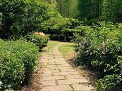 -南山风景名胜区