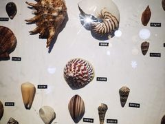 -海合安青岛极地海洋公园