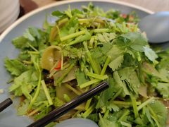香菜凉皮-魏家凉皮(十里河店)