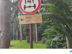 -深圳仙湖植物园