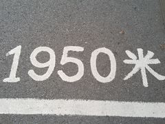 -上海吴淞炮台湾国家湿地公园
