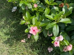 -闻酥园(大慈寺店)