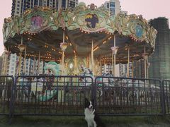 -栖露营camping·天幕烧烤·团建拓展·采摘营地