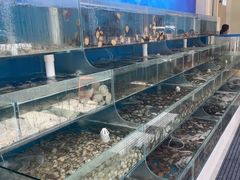 -仙螺岛海鲜自助餐厅(总店)