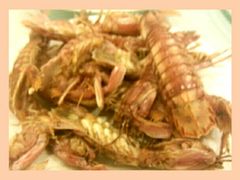 android_upload_pic-来之顺海鲜菜馆·青岛菜(栈桥店)