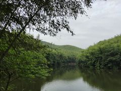 -石塘人家