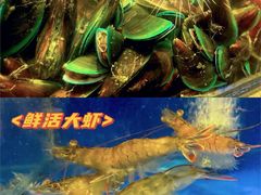 -苏格里岛自助海鲜烤肉(青秀万达店)