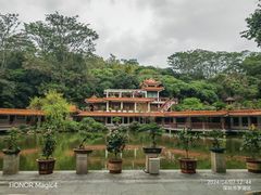 -深圳仙湖植物园