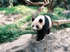 -广州长隆野生动物世界