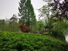 -重庆彩云湖湿地公园