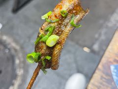 鳝鱼-晓靖轩烧烤(沙河风情店)