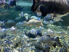 -成都浩海立方海洋公园