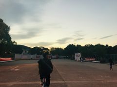 -上海第二工业大学(金海路校区)