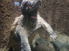 -太平洋海底世界