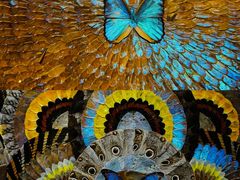 -上海昆虫博物馆