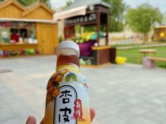 -鸣沙山月牙泉风景名胜区
