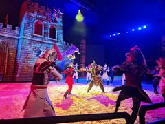 -水秀国际大剧院