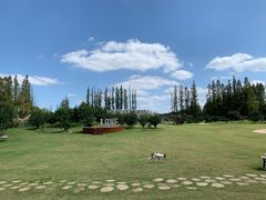 -上海长兴岛郊野公园