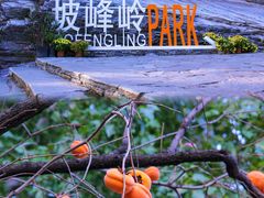 -周口店坡峰岭风景区