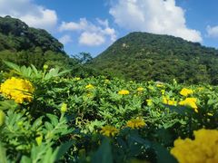 -广州市石门国家森林公园