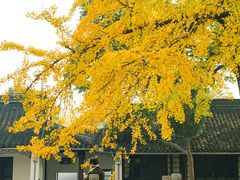 -西园戒幢律寺