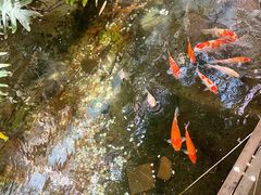 -聚缘堂·海鲜私房菜(松岭路店)