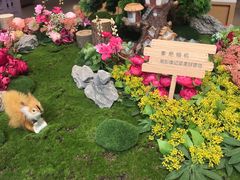 -Sony Store索尼(深圳深业上城店)