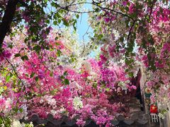 -深圳国际园林花卉博览园