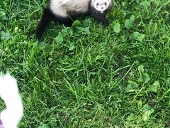 -轻井泽王子购物广场