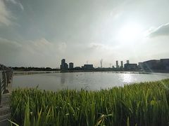 -映月湖中央公园