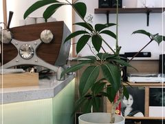 -Onirii Coffee(长乐路店)
