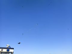 -潍坊滨海云门国际风筝放飞场