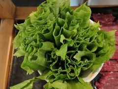 -陈记顺和牛肉火锅(岗顶店)
