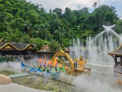 -西双版纳原始森林公园
