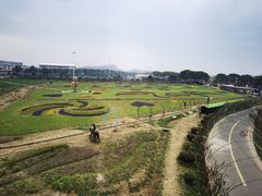 -苏州太湖西山岛开心农场