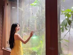 -帕帕拉兹宠物(亚洲旗舰店)