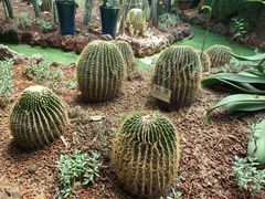 -呀路古热带植物园