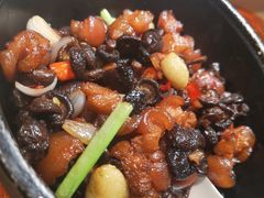 小香菇焖拐肉-尽膳·鱼鲜川菜(宽窄巷子店)