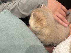 -袖虎·猫馆(体育西路店)