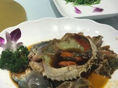 -席家花园(巨鹿花园店)
