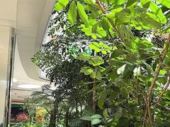 -吕氏疙瘩汤·新派鲁菜(济南万象城店)
