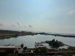 -芒洲湿地公园