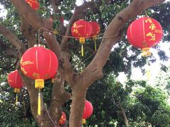 -顺风山庄(水濂山店)