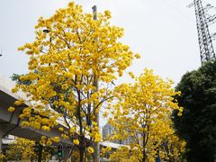 -晓港公园