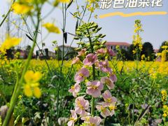 -中国天府农业博览园